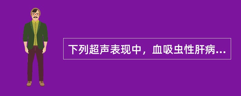 下列超声表现中，血吸虫性肝病的特点是（）