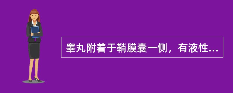 睾丸附着于鞘膜囊一侧，有液性暗区三面包绕于睾丸周围，此种积液称（）