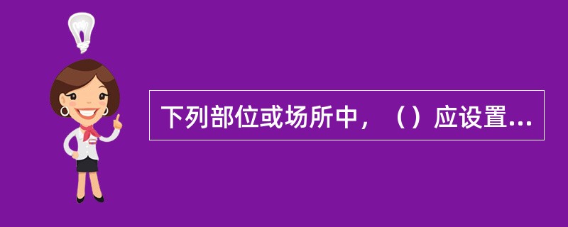 下列部位或场所中，（）应设置指示疏散方向的消防应急标志灯。