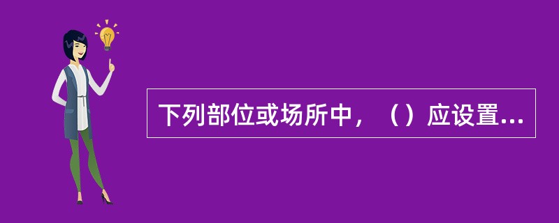 下列部位或场所中，（）应设置指示疏散方向的消防应急标志灯。