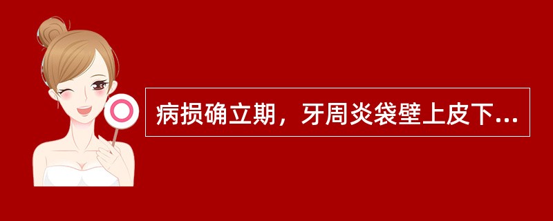 病损确立期，牙周炎袋壁上皮下的炎症浸润细胞主要是（）。