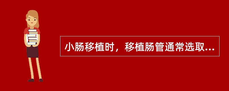 小肠移植时，移植肠管通常选取（）。
