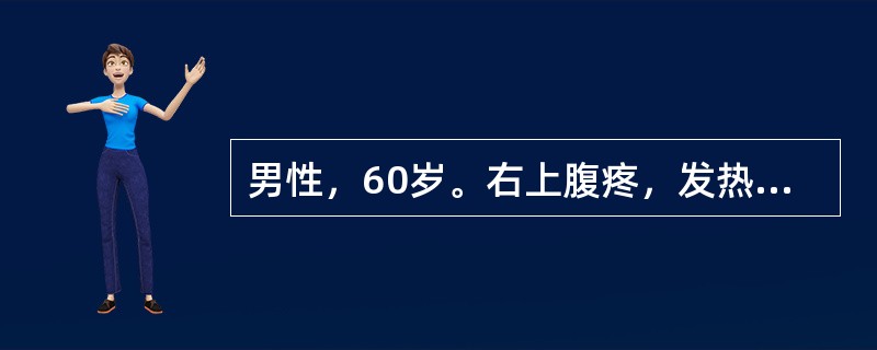 男性，60岁。右上腹疼，发热2天。实验室检查：白细胞和中性粒细胞均升高。超声检查