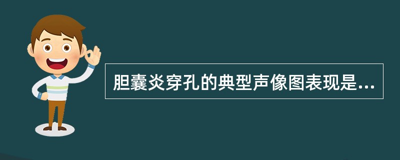 胆囊炎穿孔的典型声像图表现是（）。