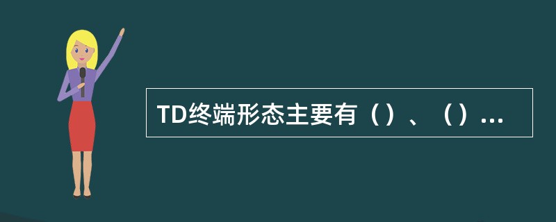 TD终端形态主要有（）、（）、（）、（）。