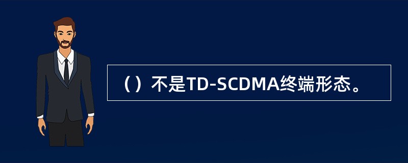 （）不是TD-SCDMA终端形态。