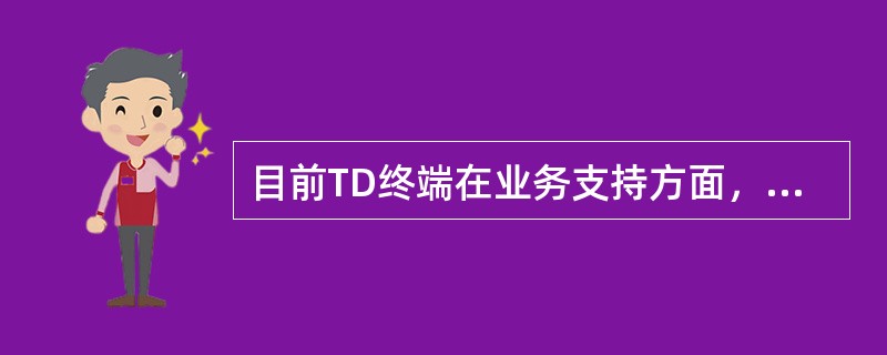 目前TD终端在业务支持方面，2G终端支持的业务有：语音、短信、彩信、WAP、JA