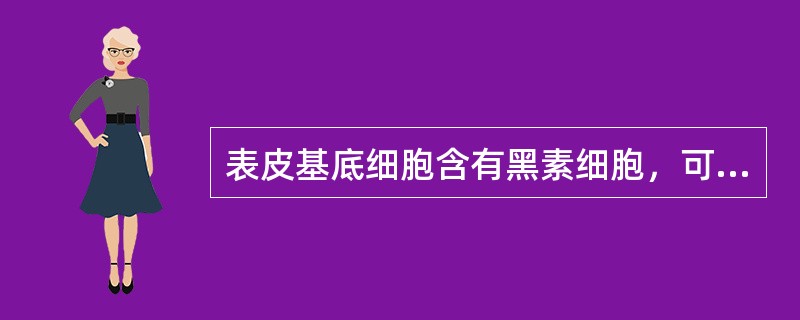 表皮基底细胞含有黑素细胞，可以（）。