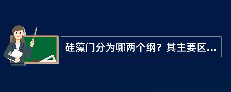 硅藻门分为哪两个纲？其主要区别是什么？