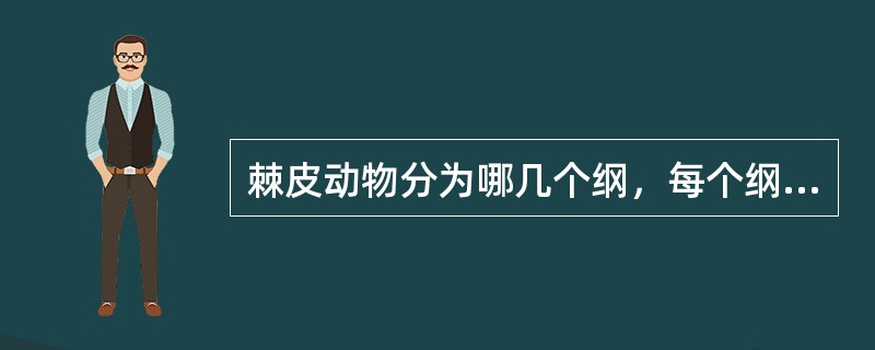 棘皮动物分为哪几个纲，每个纲的代表动物是什么？