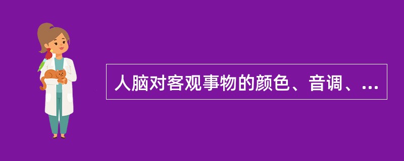 人脑对客观事物的颜色、音调、大小等属性的反映是（）