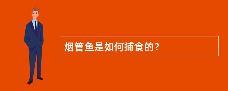 烟管鱼是如何捕食的？