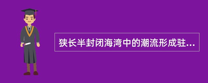 狭长半封闭海湾中的潮流形成驻波的情况下，波节处潮流最大。