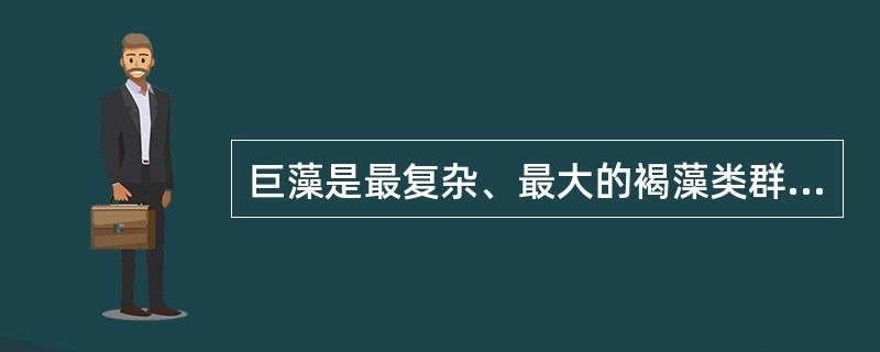 巨藻是最复杂、最大的褐藻类群，大多数的大型褐藻出现在温带和亚热带