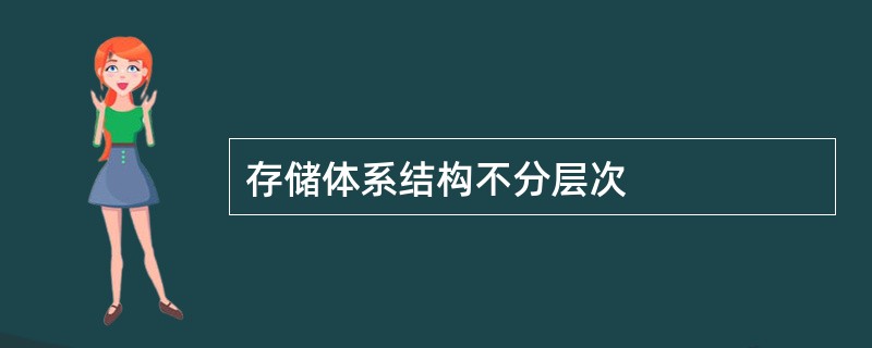 存储体系结构不分层次