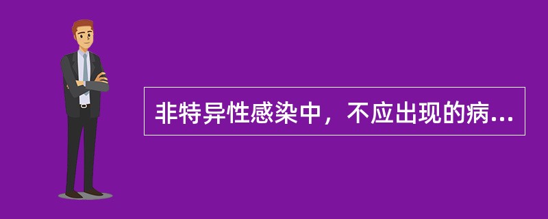 非特异性感染中，不应出现的病理改变是（）。