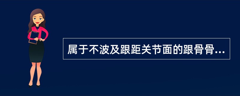 属于不波及跟距关节面的跟骨骨折的是（）