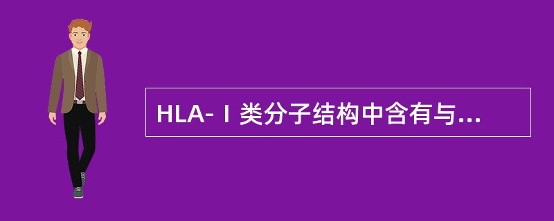 HLA-Ⅰ类分子结构中含有与哪个分子结合保守部位（）。