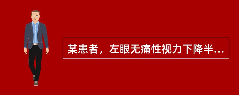 某患者，左眼无痛性视力下降半年就诊，检查左眼视力为眼前手动，眼球前段无异常，眼底