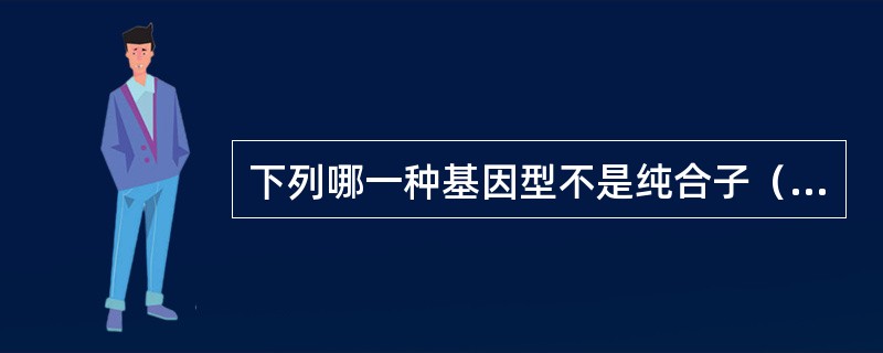 下列哪一种基因型不是纯合子（）。