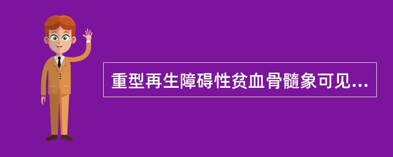 重型再生障碍性贫血骨髓象可见（）