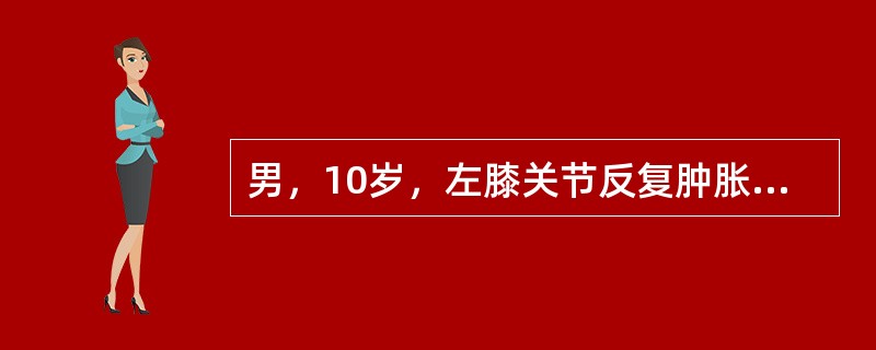 男，10岁，左膝关节反复肿胀，伴低热2年，经抗感染效果不佳，结合图像，最可能诊断