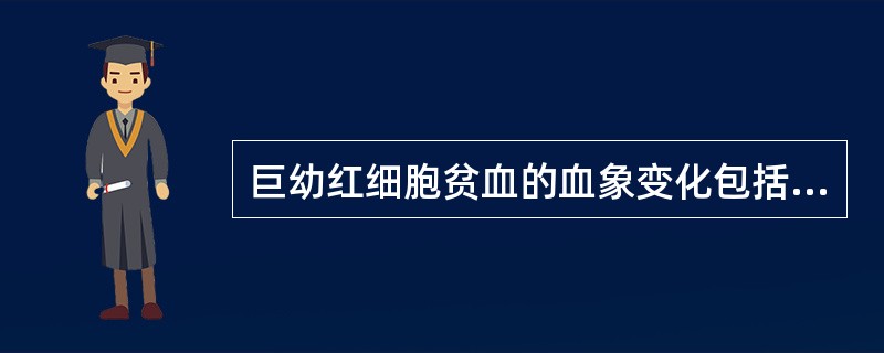 巨幼红细胞贫血的血象变化包括（）