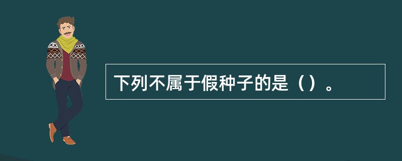 下列不属于假种子的是（）。