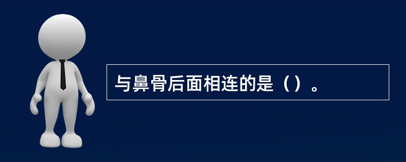 与鼻骨后面相连的是（）。