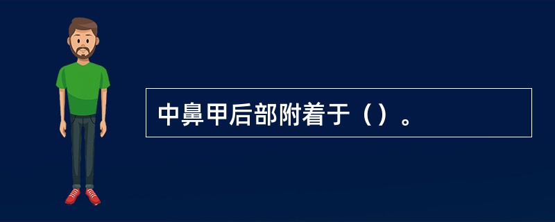 中鼻甲后部附着于（）。