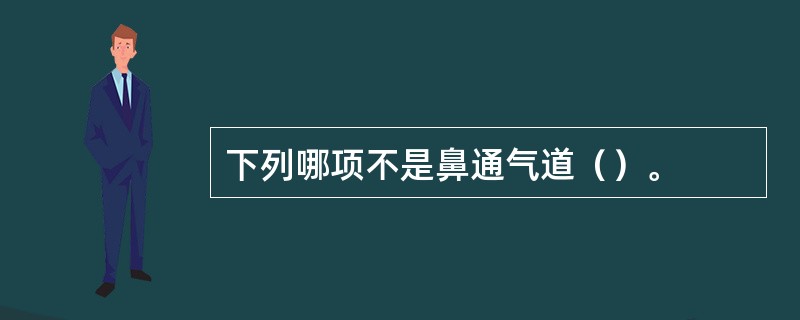 下列哪项不是鼻通气道（）。