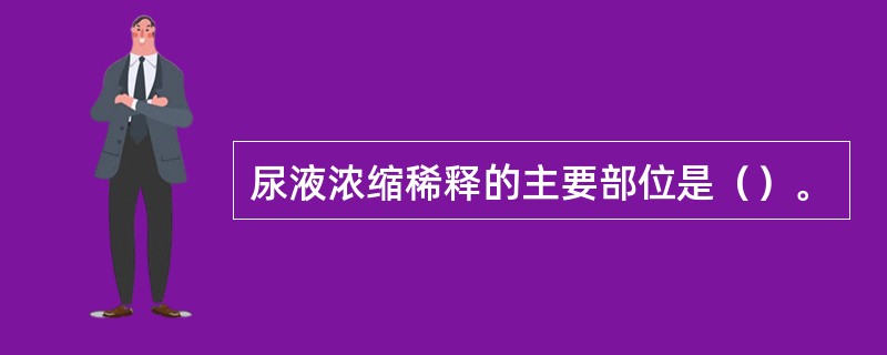 尿液浓缩稀释的主要部位是（）。