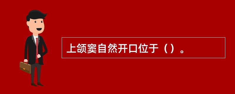 上颌窦自然开口位于（）。