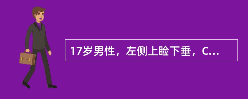 17岁男性，左侧上睑下垂，CT检查如图所示，请选择正确的描述或诊断（）。