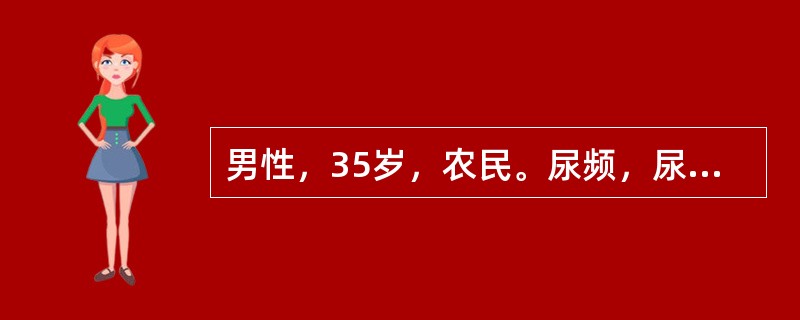 男性，35岁，农民。尿频，尿痛，血尿，脓尿病史3年。尿找抗酸杆菌（+），静脉肾盂