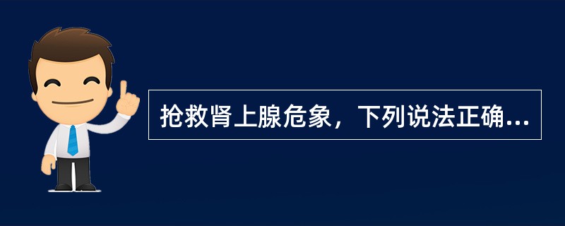 抢救肾上腺危象，下列说法正确的是（）