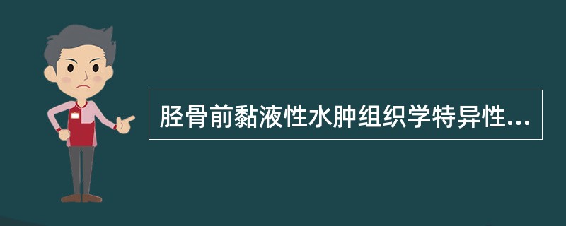 胫骨前黏液性水肿组织学特异性表现为（）