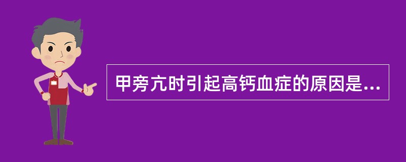 甲旁亢时引起高钙血症的原因是（）