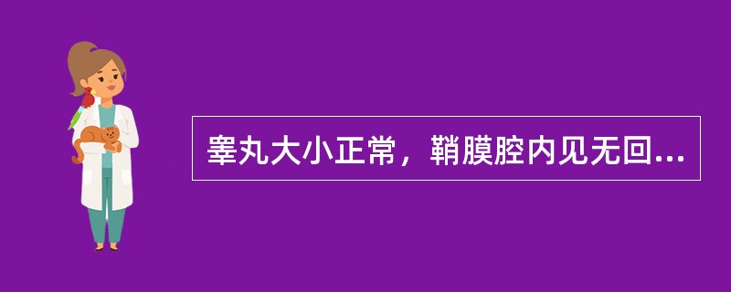 睾丸大小正常，鞘膜腔内见无回声暗区包绕睾丸，应诊断为（）