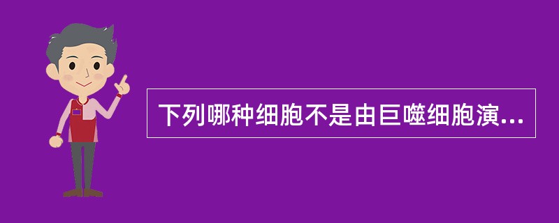 下列哪种细胞不是由巨噬细胞演变而来（）