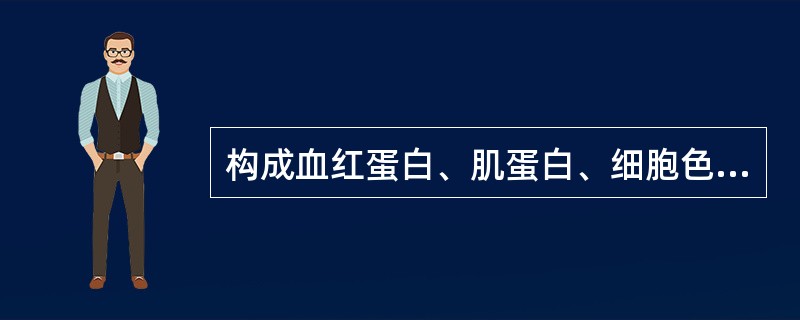 构成血红蛋白、肌蛋白、细胞色素和其他酶系统主要成分的元素是（）