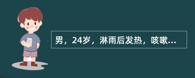 男，24岁，淋雨后发热，咳嗽，并咳铁锈色痰，可能的病因为（）