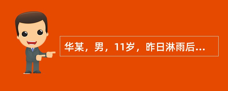 华某，男，11岁，昨日淋雨后出现头痛，恶寒发热，项背强直，肢体酸重，苔白腻，脉浮