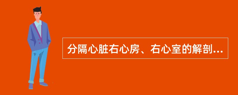 分隔心脏右心房、右心室的解剖结构是（）。