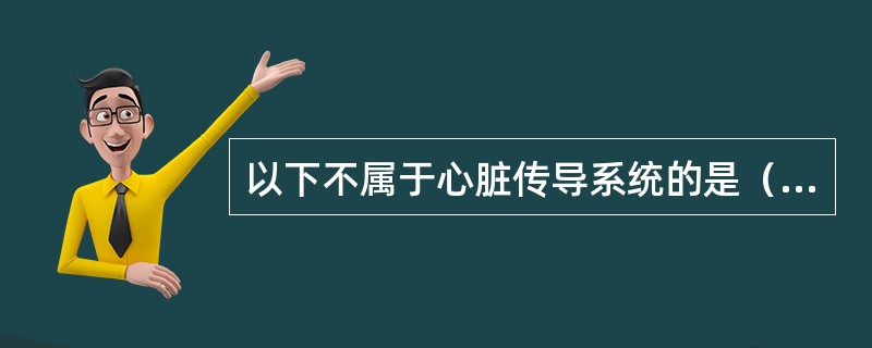 以下不属于心脏传导系统的是（）。