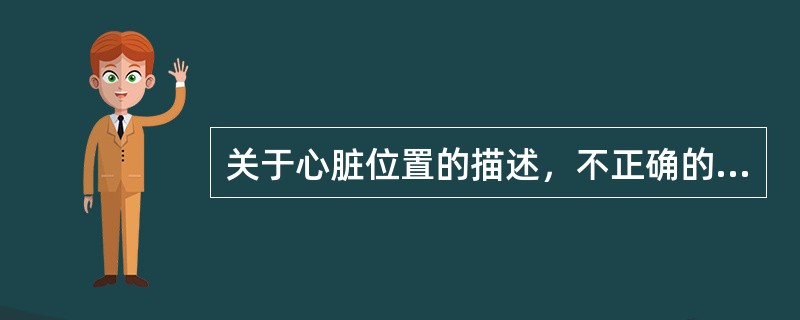 关于心脏位置的描述，不正确的是（）。