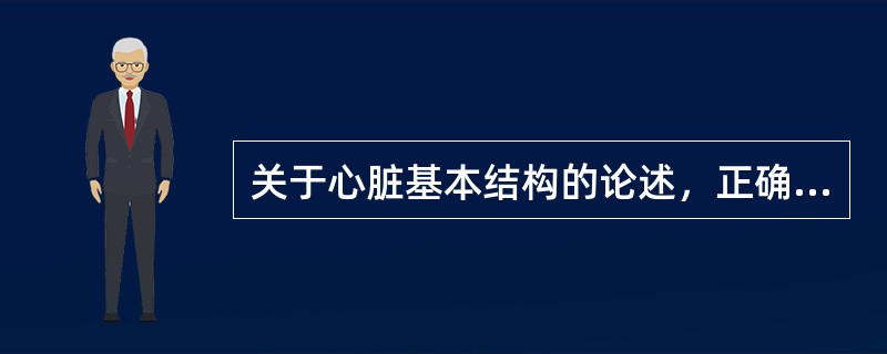 关于心脏基本结构的论述，正确的是（）。