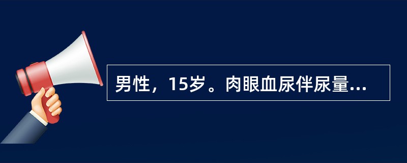 男性，15岁。肉眼血尿伴尿量减少1周。血压140/90mmHg，眼睑及双下肢水肿