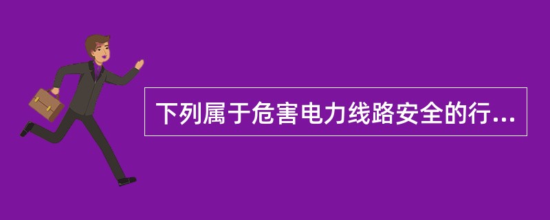 下列属于危害电力线路安全的行为是（）