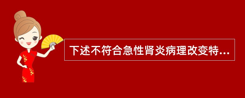 下述不符合急性肾炎病理改变特征的是（）